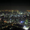 Tokyo Tower - View Southeast towards Rainow Bridge