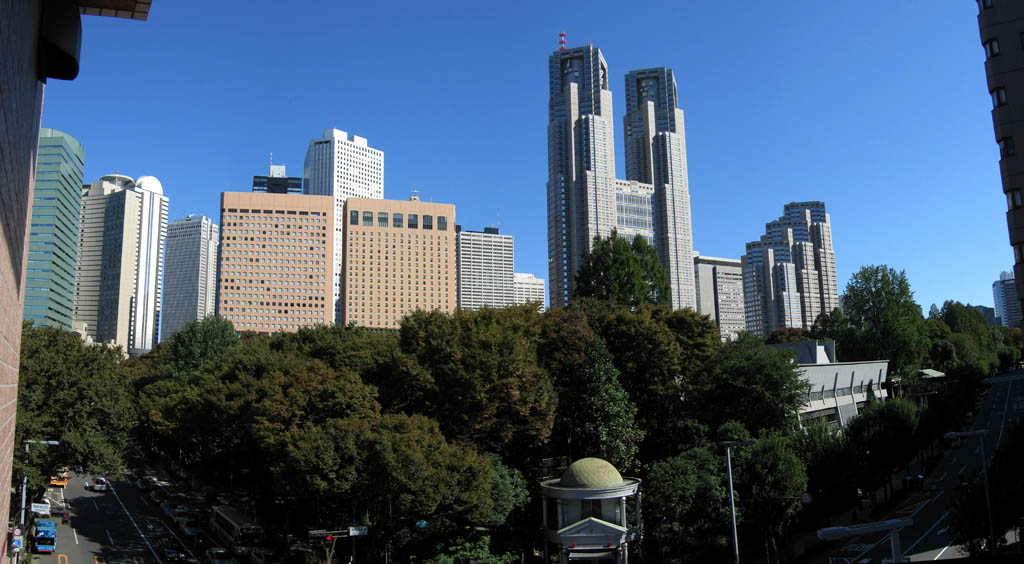 Shinjuku Chuo Koen (Central Park) - Panorama view in the fall