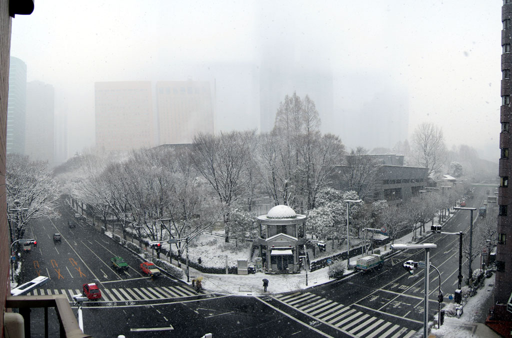 Shinjuku Chuo Koen (Central Park) - Panorama view in the winter