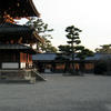 Horyuji Western Precinct - Grounds in front of Kondo (Main Hall)