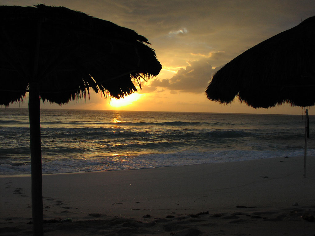 View of the beach from under straw umbrellas
