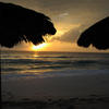 View of the beach from under straw umbrellas