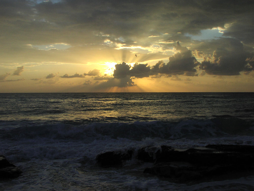 Shortly after sunrise on the beach