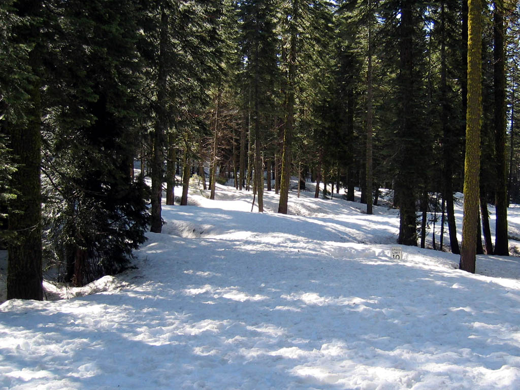A Yosemite road in winter. Mind that speed limit sign!