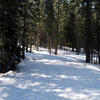 A Yosemite road in winter. Mind that speed limit sign!