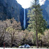 Bridalveil Falls (188m tall)