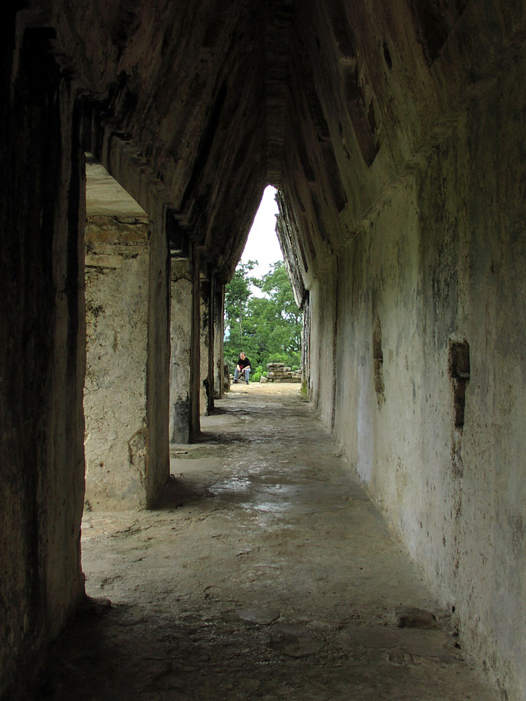 The Palace - Standing Vault