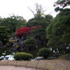 Nijo-jo Castle - Ninomaru Garden