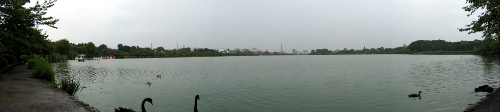Senba Lake - Panorama towards Central Mito