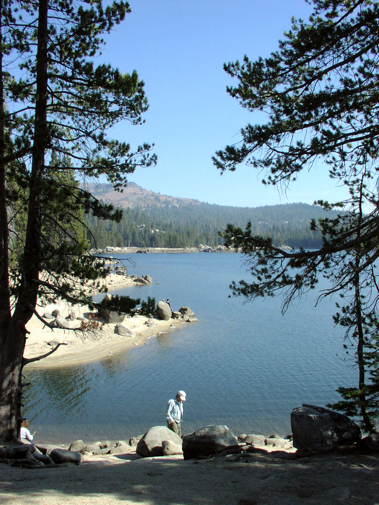 People exploring the shoreline