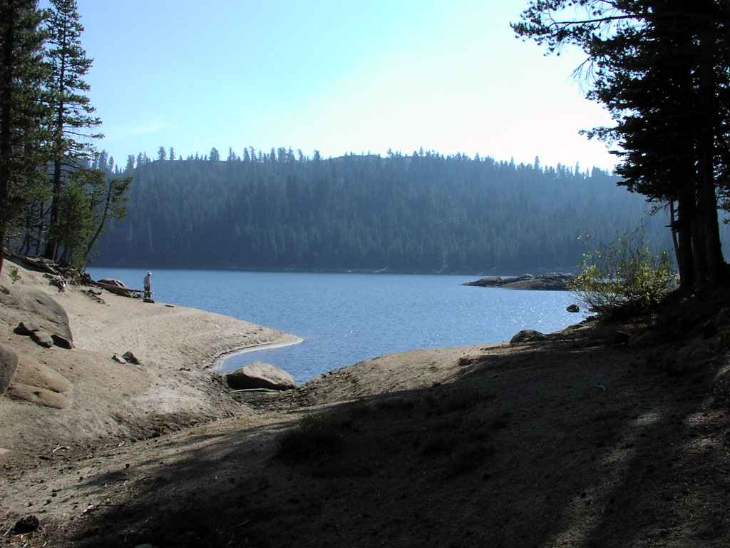 Near one of Lake Alpine's feeding points