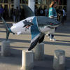 San Jose Arena - Player Shark, from the SharkByte Art project