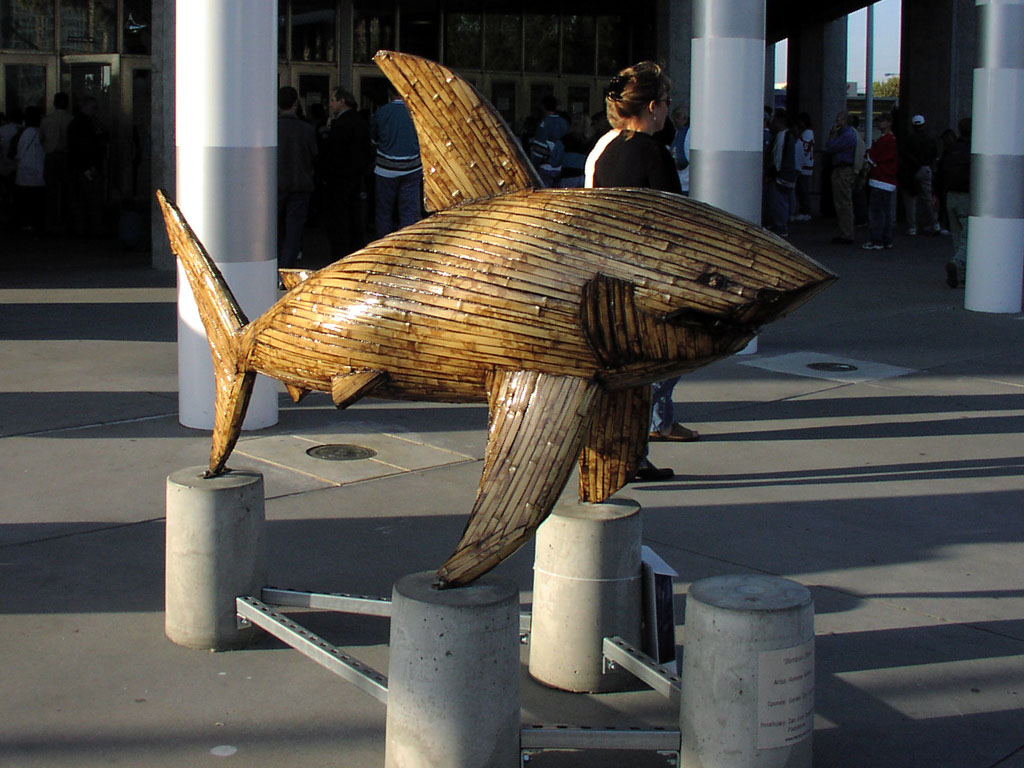 San Jose Arena - Bamboo Shark, from the SharkByte Art project