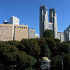 Shinjuku Chuo Koen (Central Park) - Panorama view in the fall