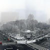 Shinjuku Chuo Koen (Central Park) - Panorama view in the winter