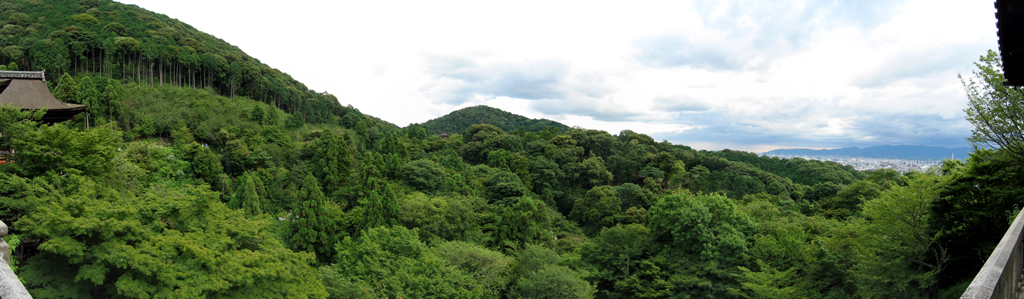 Kyomizu-dera - Panorama of forest cover near temple