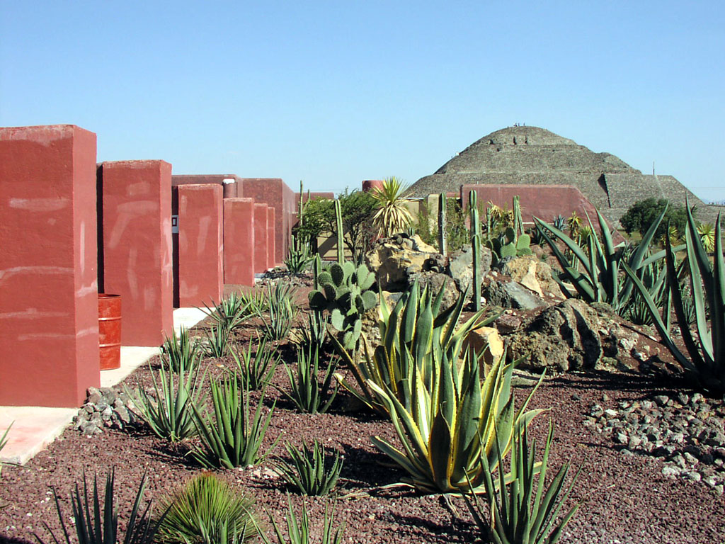 The Pyramid of the Sun looms over the cactii near the museum